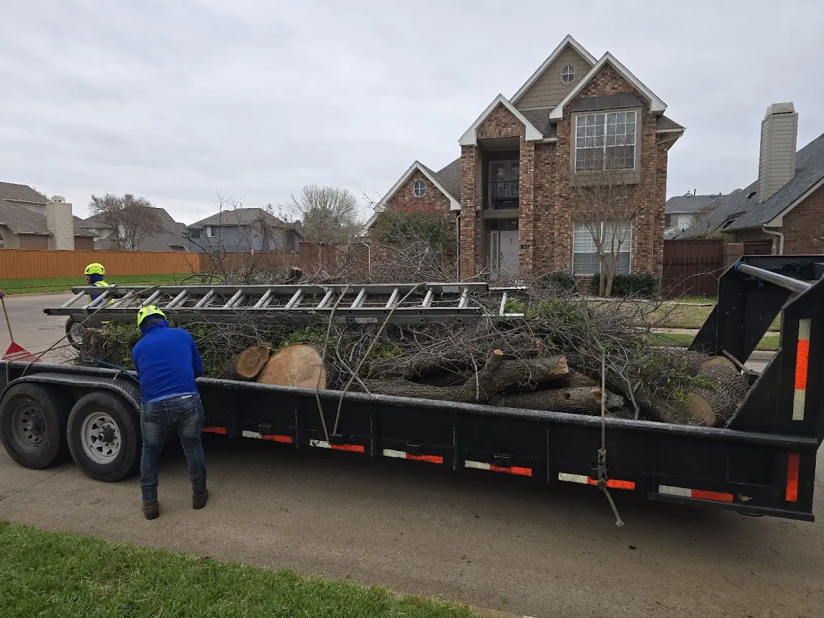 Expert Lot Clearing with proper safety equipment in Swanton
